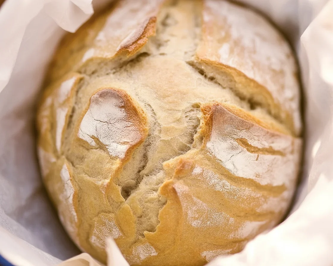 Crusty No Knead Bread